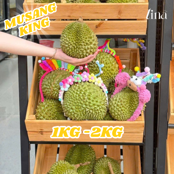 Sầu Riêng Musang King